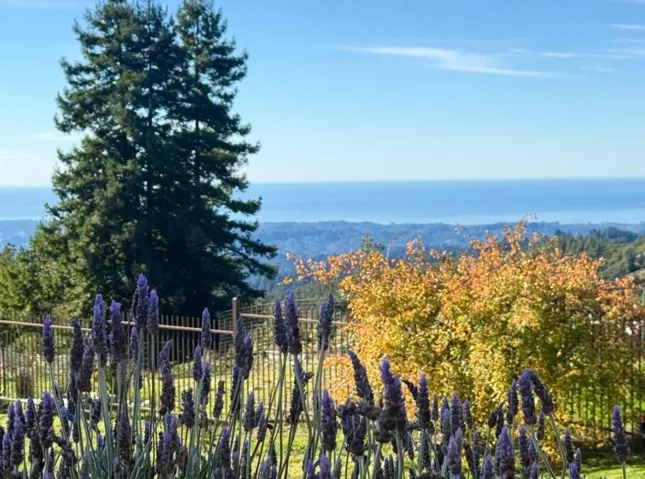 1061 Summit Road, Watsonville, California 95076