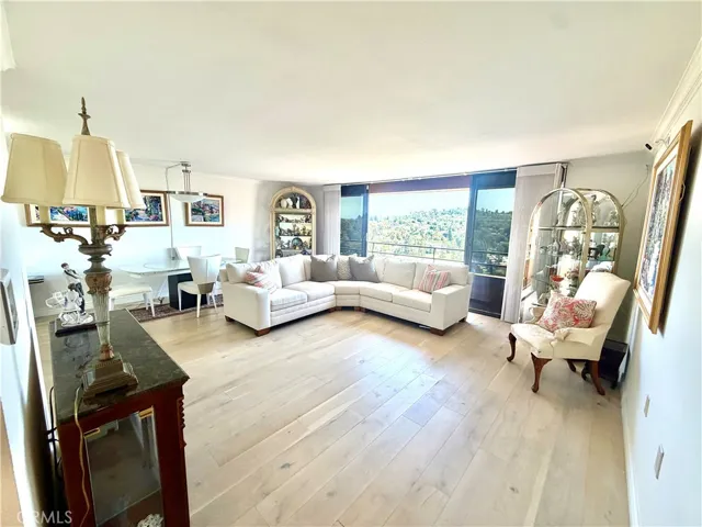 Entry, Living room, dining room