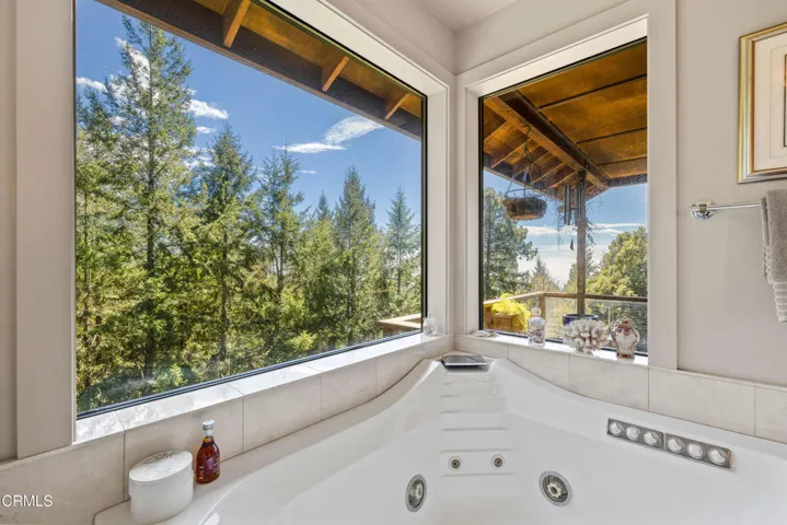 Primary Soaking Tub