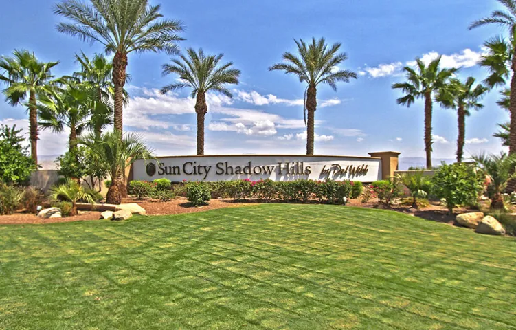 SUN CITY SHADOW HILLS MLS