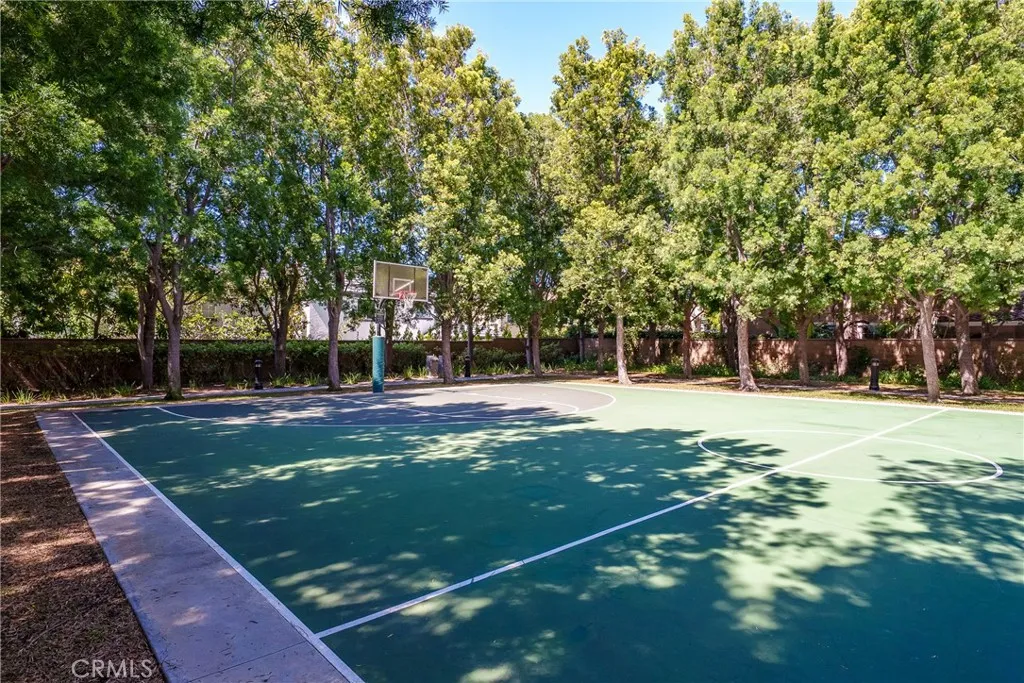 Basketball court