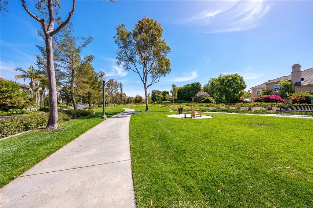 Green corridor of Northpark