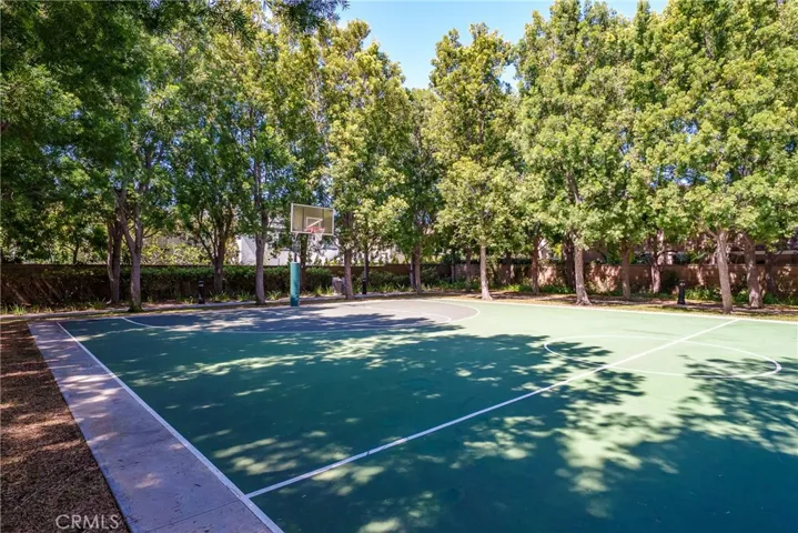 Basketball court