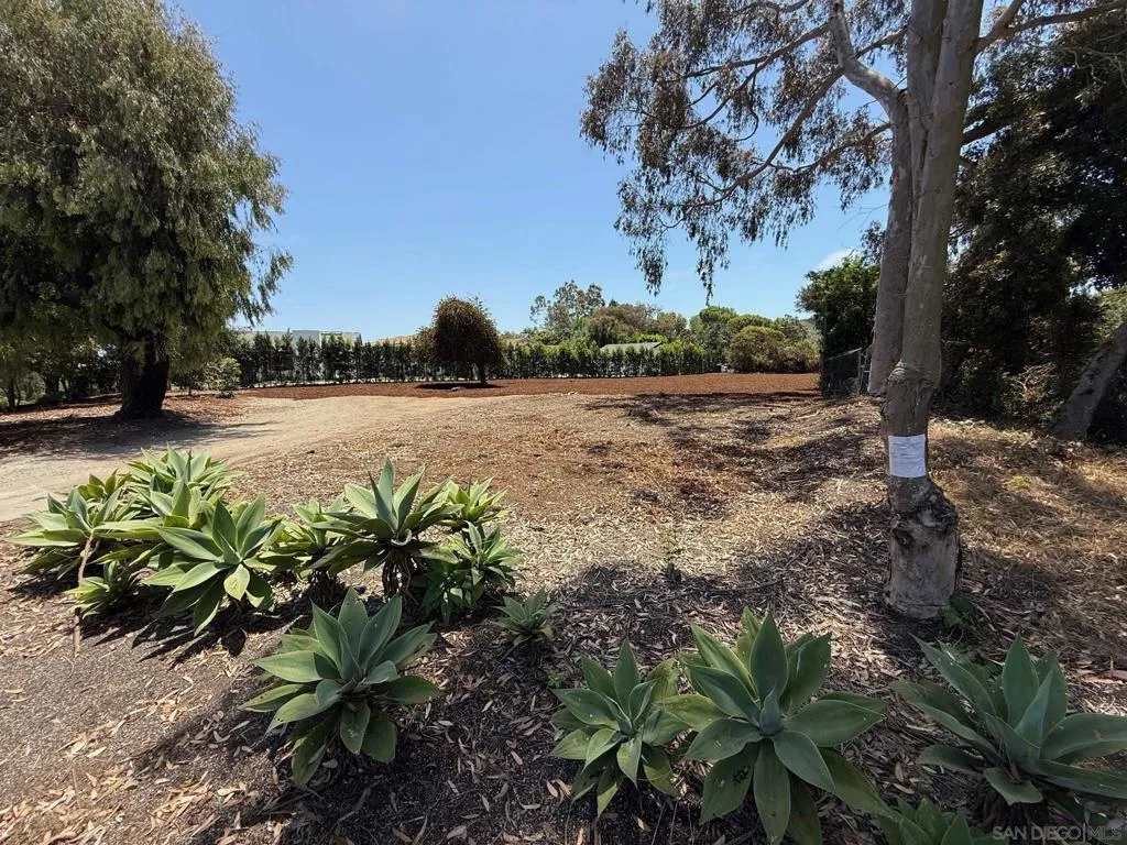 Land/Lot