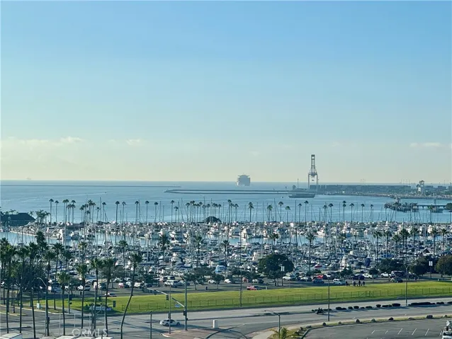 Your daily view!
