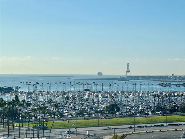 Your daily view!