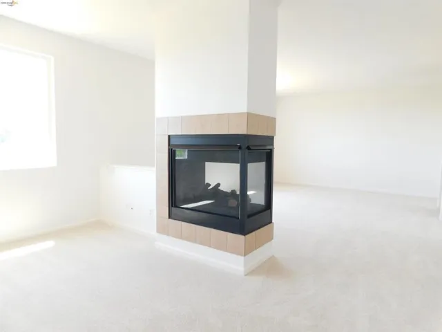 Detailed view of carpet flooring and a multi sided fireplace