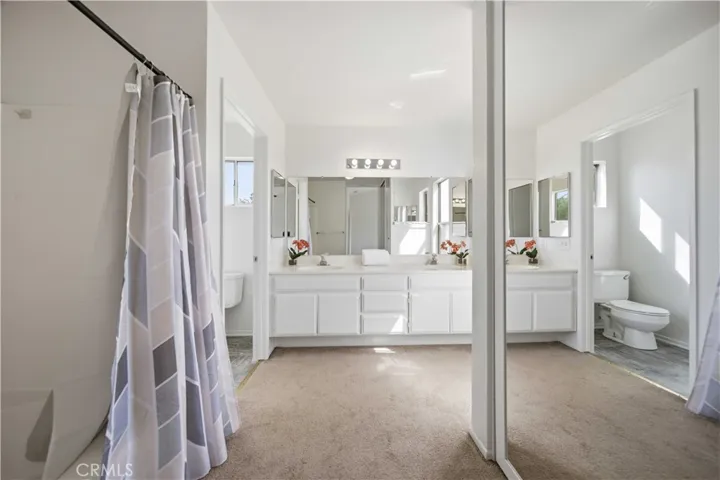 Primary bathroom #3