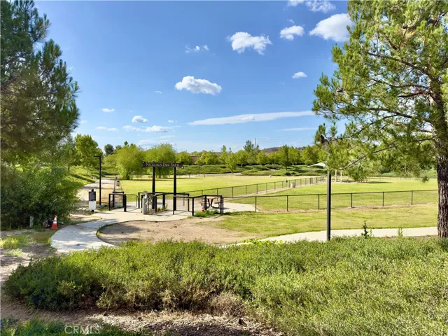 Dog Park