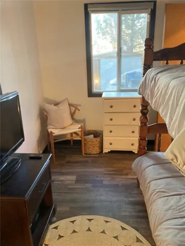 Downstairs bedroom