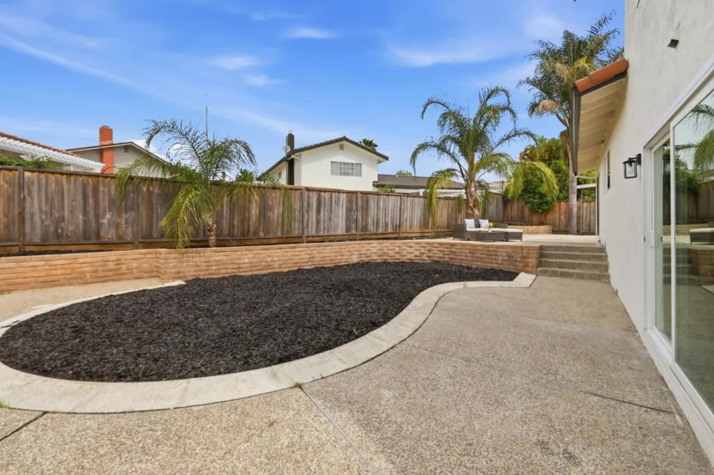 Low Maintenance Yard