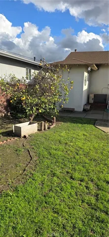 REAR YARD LOOKING TOWARD HOUSE.
