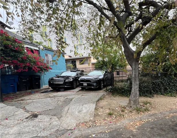 Front yard