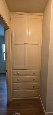 Main Unit Hall Closet