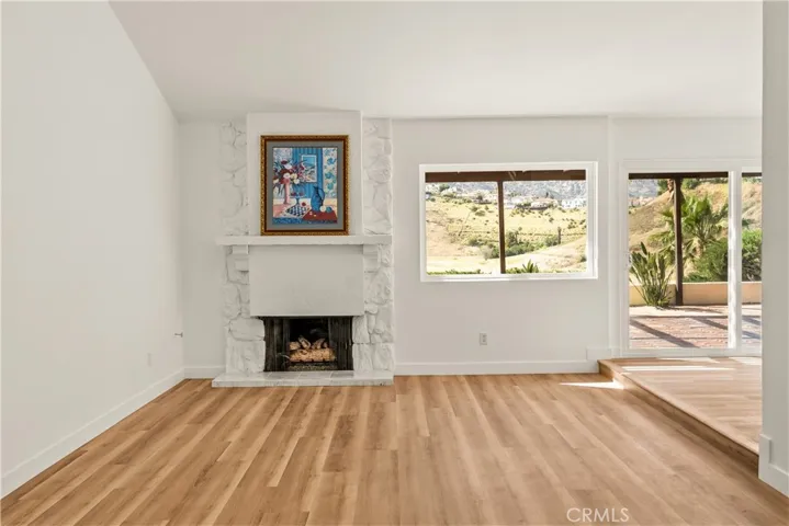 Wood/ Gas Fireplace