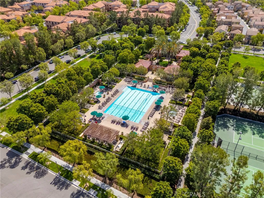 Pools and Spas