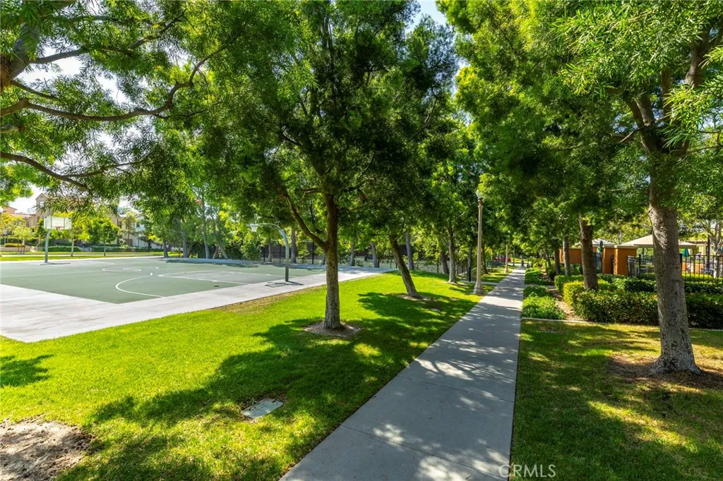 Endless Walking Paths