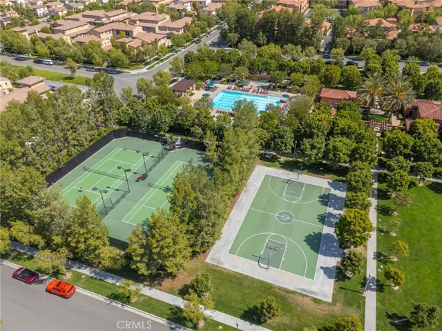 Courts and Playgrounds