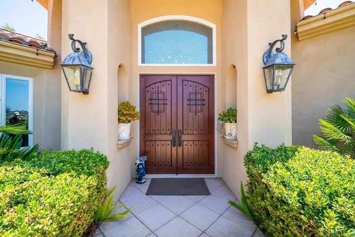 Custom Double Doors