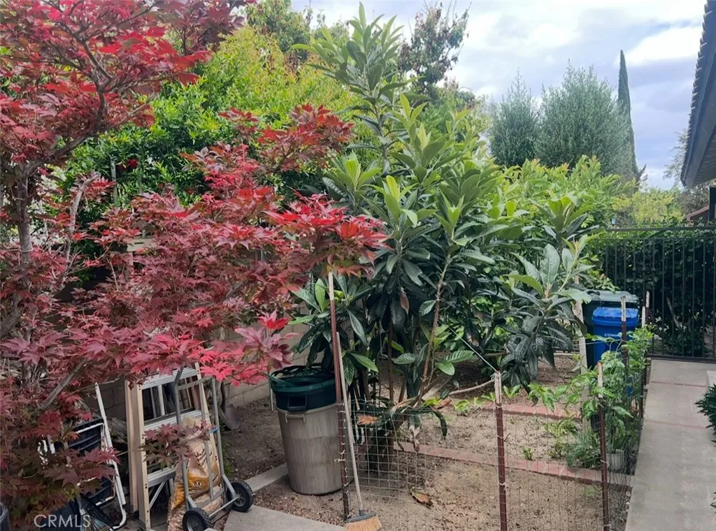 Variety of plants from the Japanese Maple Tree, Guava Tree, Dragon Fruit and etc.