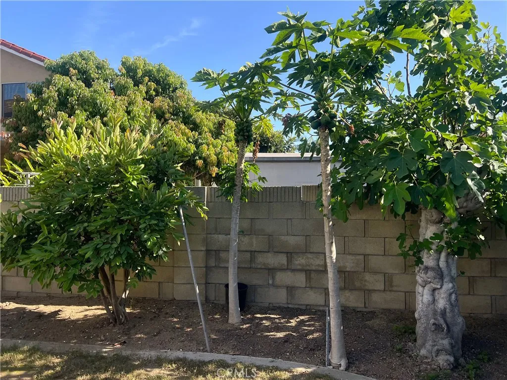 More Papaya trees, Japanese Wisteria, and etc.