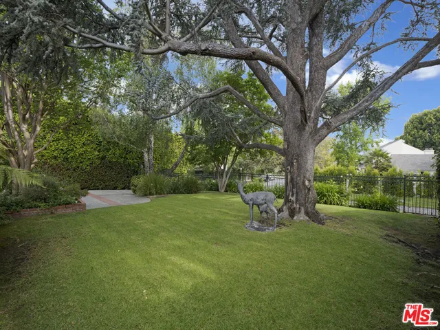 Front Yard