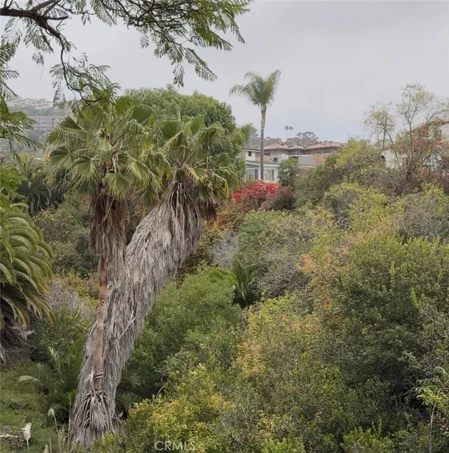 T-Street Coastal canyon