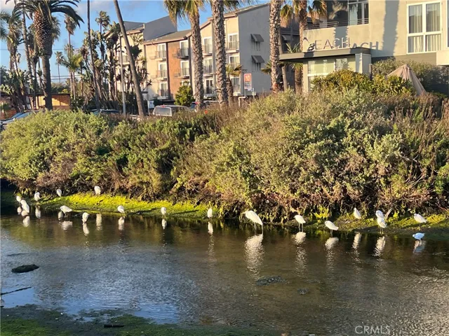 3512 Pacific Avenue 2, Los Angeles, California 90292