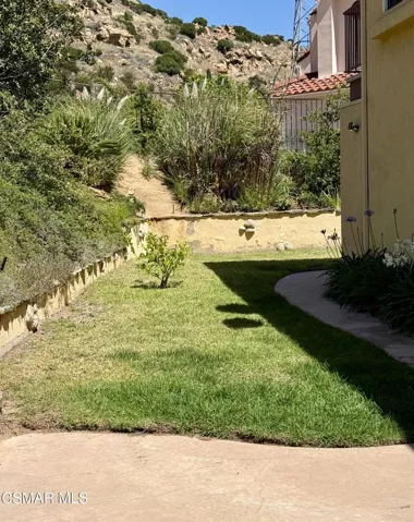Grass backyard