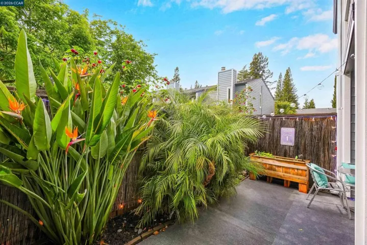 266 Ashley Cir 37, Danville, California 94526