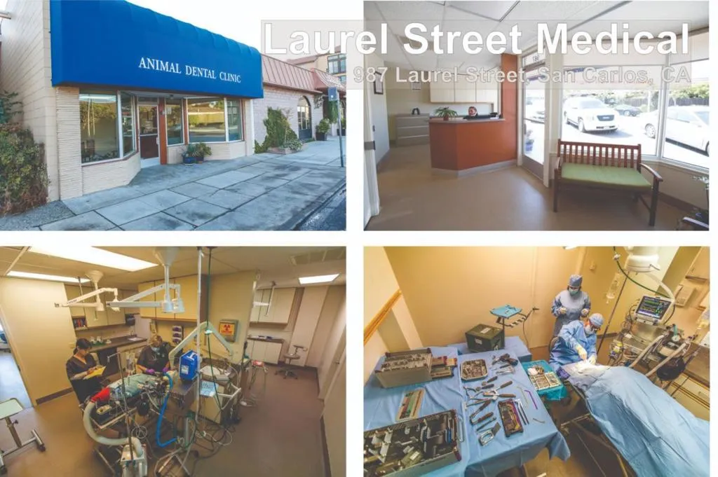 987 Laurel Street, San Carlos, California 94070 — photo 4