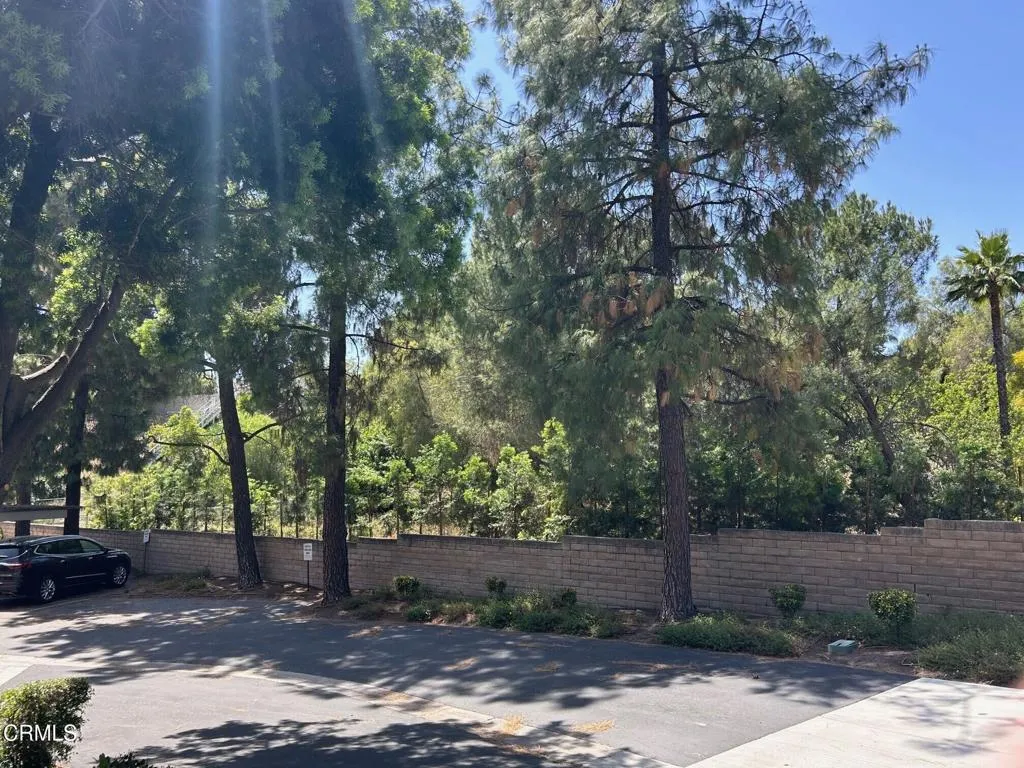 Car Parking View