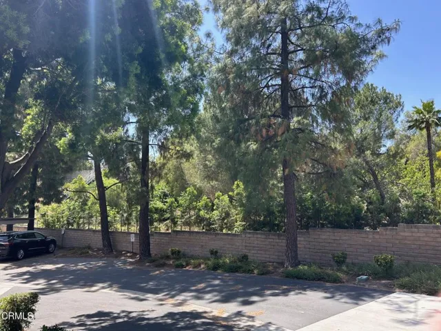 Car Parking View