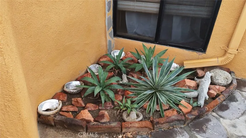 Succulent gardent