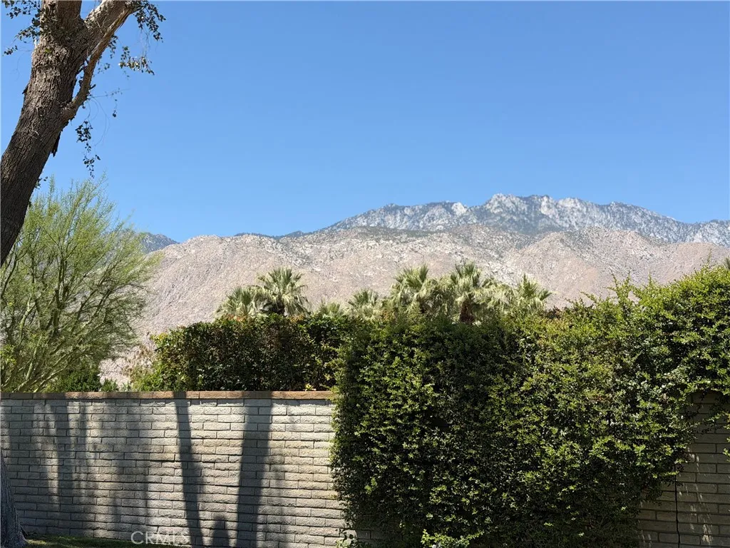 Palm Springs Mountains from back patio