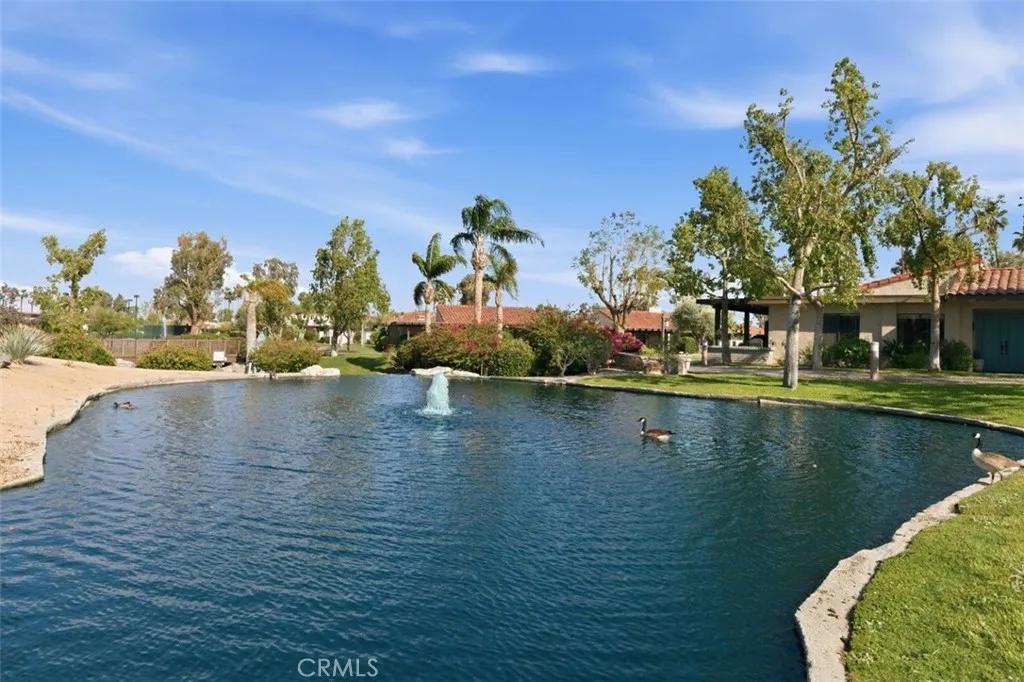 Water Pond