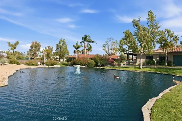 Water Pond