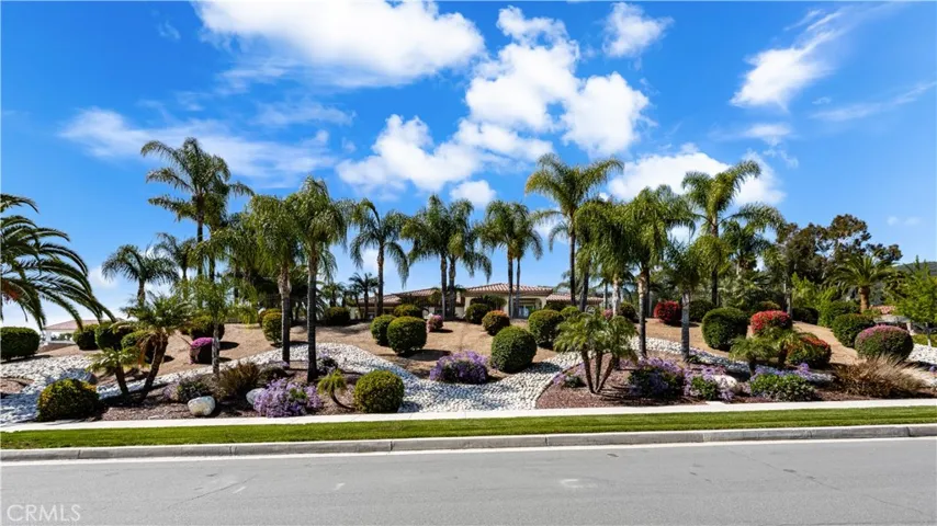 Mature Landscape that is Well Maintained