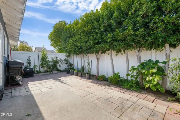 14-Back Yard