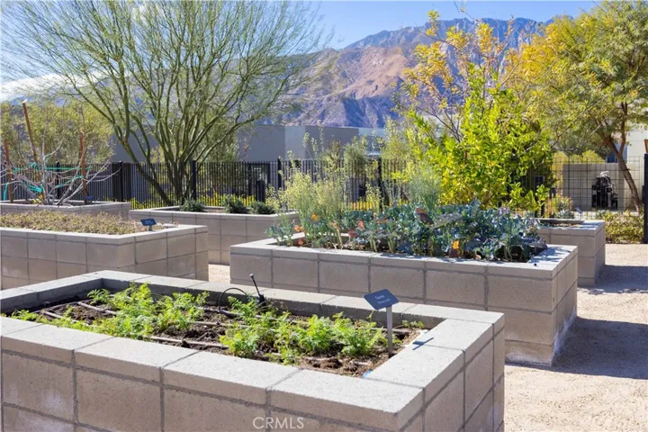 484 Fountain, Palm Springs, California 92262