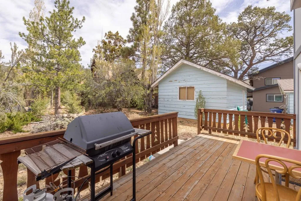 012_Backyard 2