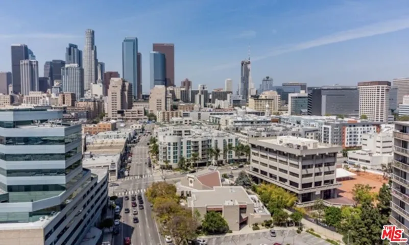 Teramachi DTLA Skyline
