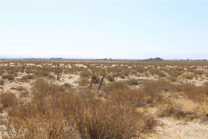 Ac Lessing Avenue, Adelanto, California 92301