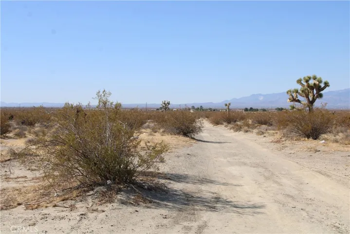 Ac Lessing Avenue, Adelanto, California 92301