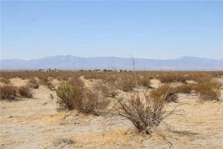 Ac Lessing Avenue, Adelanto, California 92301