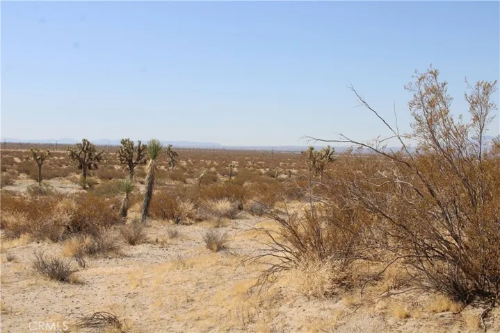 Ac Lessing Avenue, Adelanto, California 92301