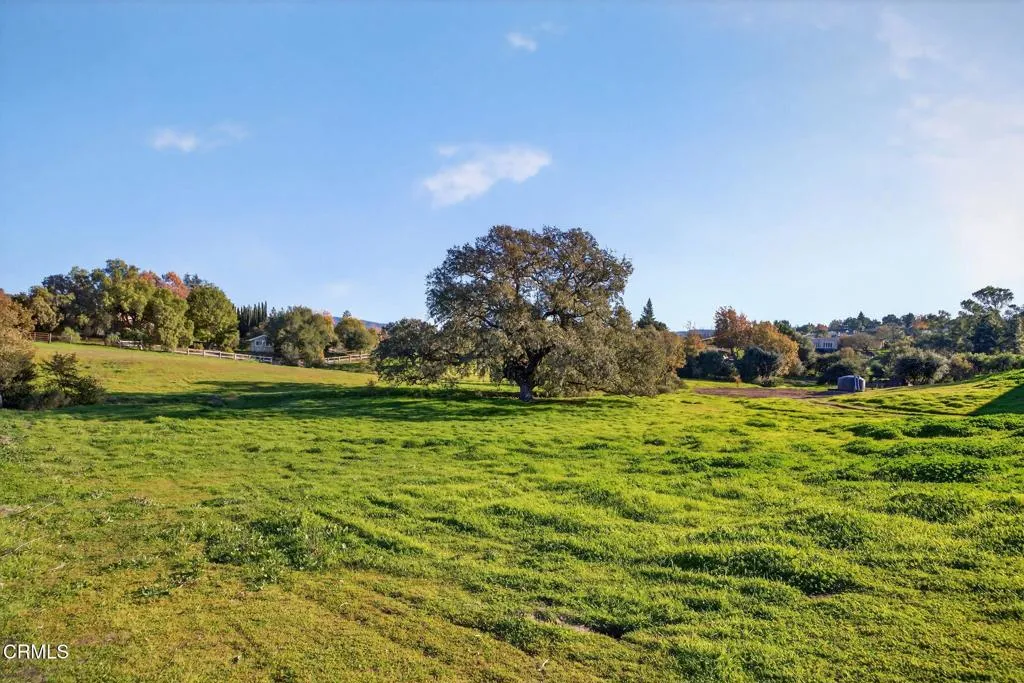 72-web-or-mls-UpmarketMedia_970C-034