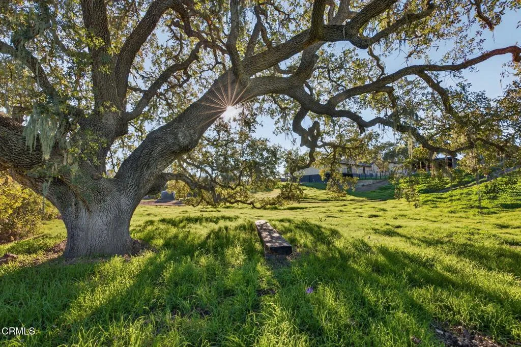 70-web-or-mls-UpmarketMedia_970C-029