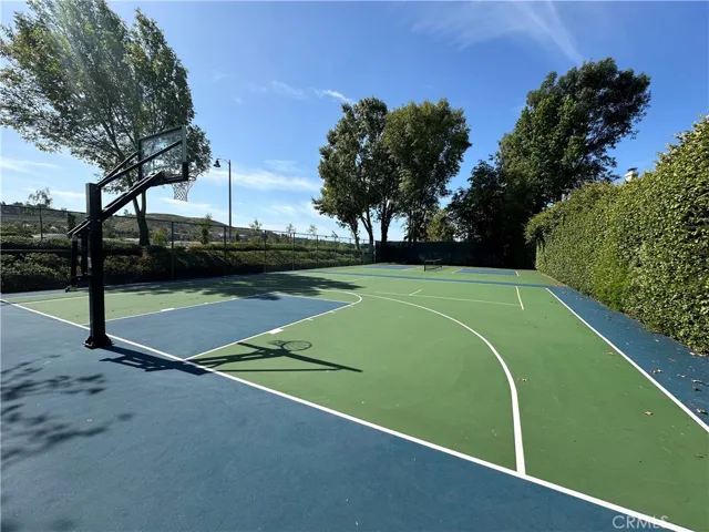Basketball and Pickleball