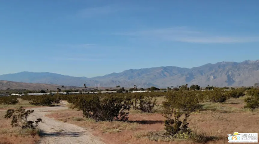 Your Oasis In The Desert